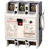 ZL103-75TL-30S 漏電ブレーカ(自家用発電連系用) 河村電器産業 52740634