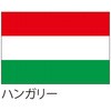 52888816