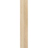 52915258