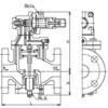 RP8-D (Cp) RP-8^ x 52958448