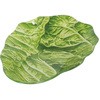 G815-973CB GLASS FARMER PLATE KX t@[}[v[g _g 52969903