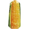 G815-973CN GLASS FARMER PLATE KX t@[}[v[g _g 52969919