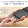 MPA-CCF10PUF タイプC ケーブル ( Type C to C ) PD 60W エレコム 53038949
