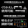ECL-WL250NB-L3A USB充電式LEDワークライト 高演色 エコリカ 53062617