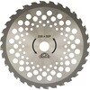 53080766
