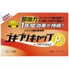 ゴキブリキャップP1 タニサケ