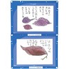 連結掲示ホルダー