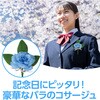 75024 コサージュ ミニバラ アーテック[学校教材・教育玩具] 53151657