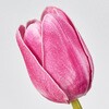 FM008051-042 ~`[bvoh  53172999