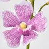FM009109-011 II[Lbh  53173035