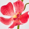 FM009109-028 II[Lbh  53173060