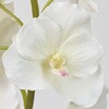 FW020470 WAo_I[Lbh  53179229