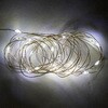 イルミナLED 10コ入り 東京堂