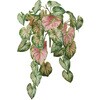 FG009943 JW[~joC  53180507