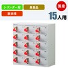 【バンド青】脱衣場向け貴重品ロッカー(3列5段) NKDS-0305 国産 鍵付き おしゃれ シンプル ロッカー N-forme
