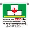 53254067
