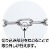 53281333