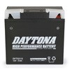 95944 BMWpnCptH[}Xobe[ DAYTONA(fCgi) 53294299