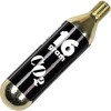 R25-M-CO2-16G-1 炭酸(CO2) ボンベ単体 R250 53303907