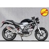 09’～ VTR250 SUS2-1 TYPE-S RACE ヤマモトレーシング