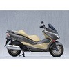 10262-01NON 11f` FORZA SUS SLIP-ON TYPE-N G}t }g[VO 53360415
