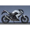 40253-01NMN 13f` Z250 SUS SLIP-ON Kz JMCAv[gt }g[VO 53362716