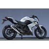 40253-01NMN 13f` Z250 SUS SLIP-ON Kz JMCAv[gt }g[VO 53362716