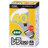 レフランプ 60w