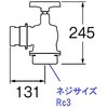 53568577