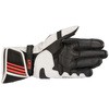355 6520 GP PLUS R v2 GLOVE Alpinestars(�A���p�C���X�^�[�Y) 53614743