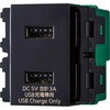 フルカラーコンセント 埋込充電用USBコンセント 2ポート 3A Panasonic(パナソニック)