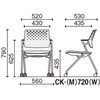 CK-720PAWGXE3-W cpCX sGK w^Cv (zEgT[rXt) RN 53723609