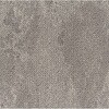 53769084