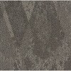 53769093