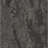 53769109
