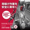 53805868