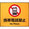 53830876