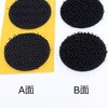 53904665