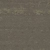 53908445