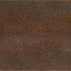 53909355