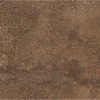 53909364