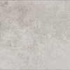 53909389