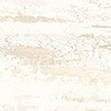 53909574