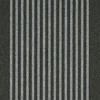 53911595