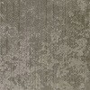 53911823