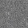 53912164