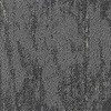 53913029