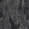 53913038