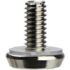 54037534