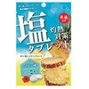 灼熱対策 塩タブレット パイン味 赤穂化成